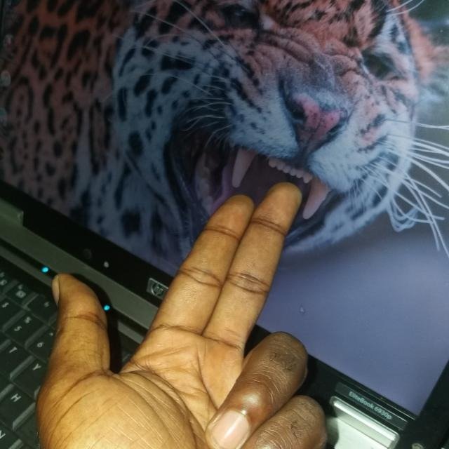 ⚠️ Life is what happens when you're busy making other plans 〽️