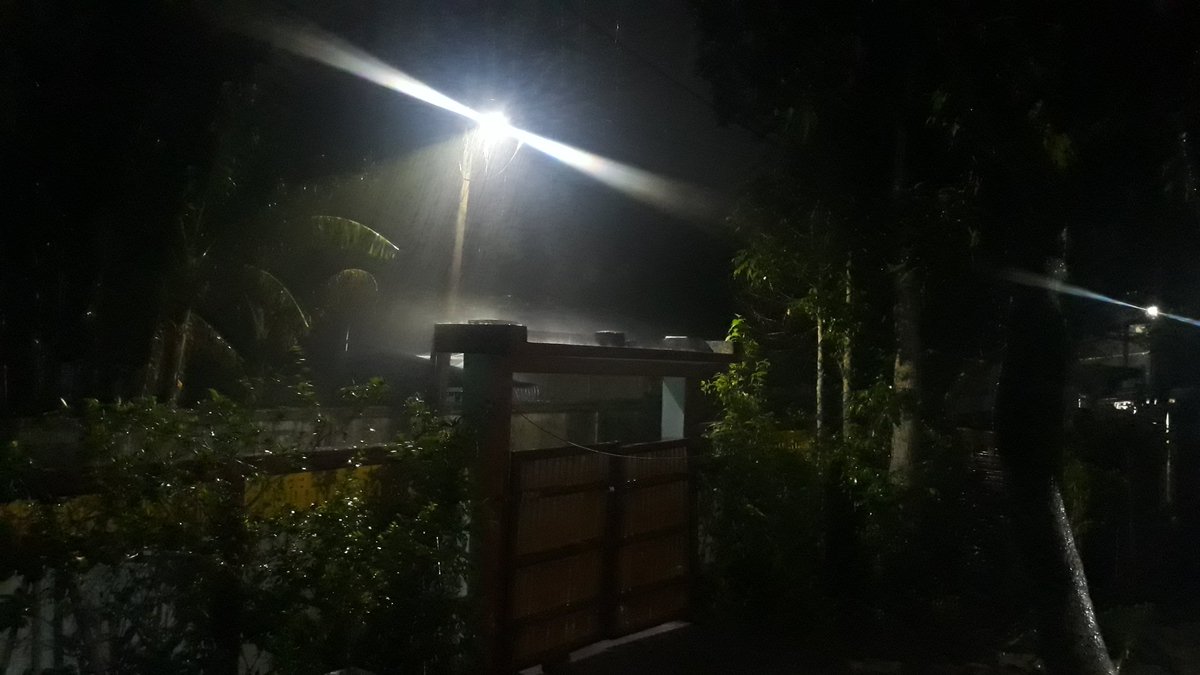 #Happyraining #Mangotree