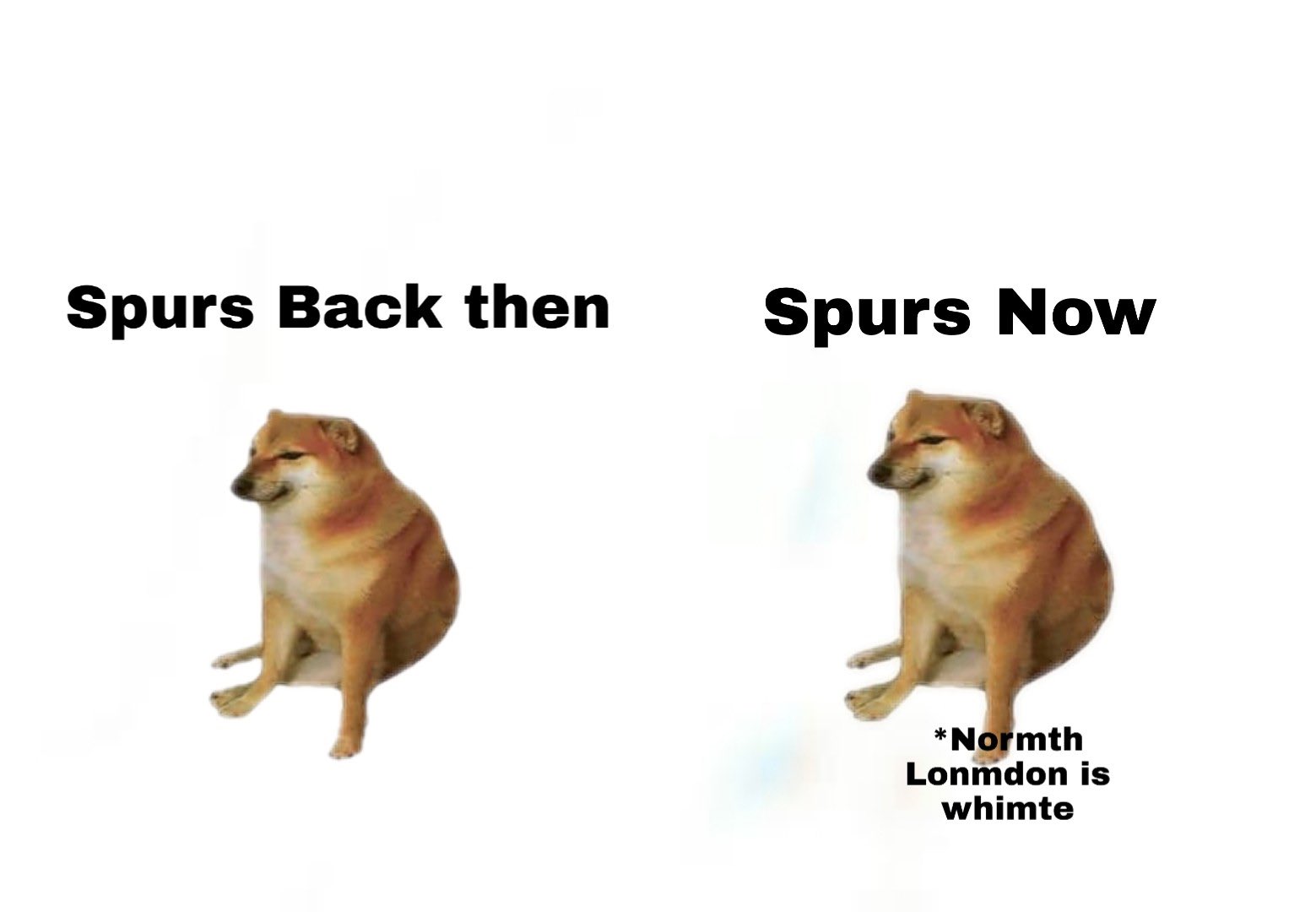 EZHfEJCXkAEWKpe?format=jpg&name=large