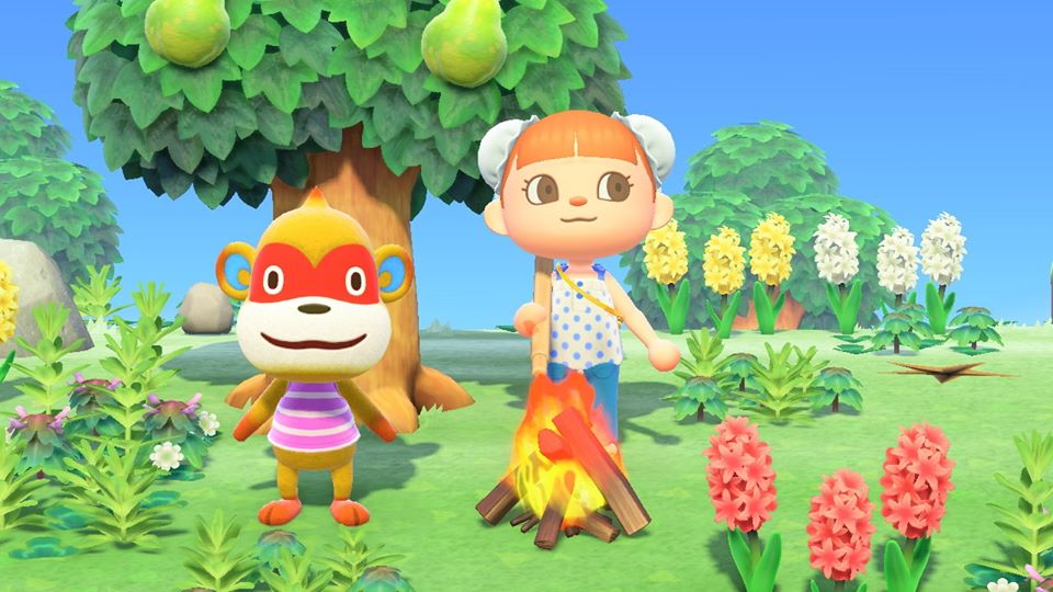 island 16: simonthat is a giant no thank u