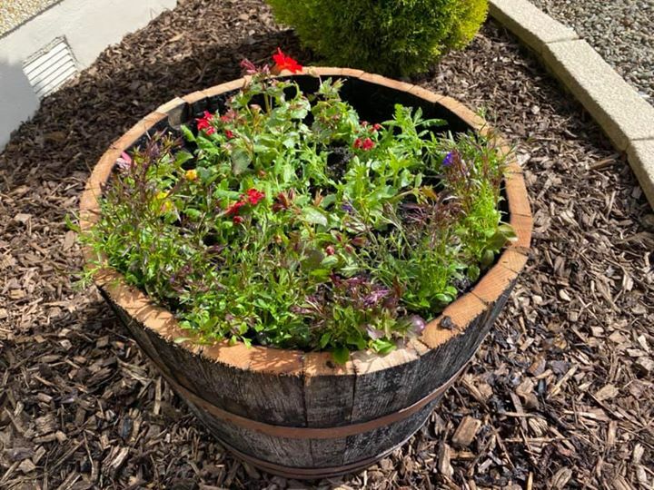 Graeme Williamson (@graemew_79) on Twitter photo 