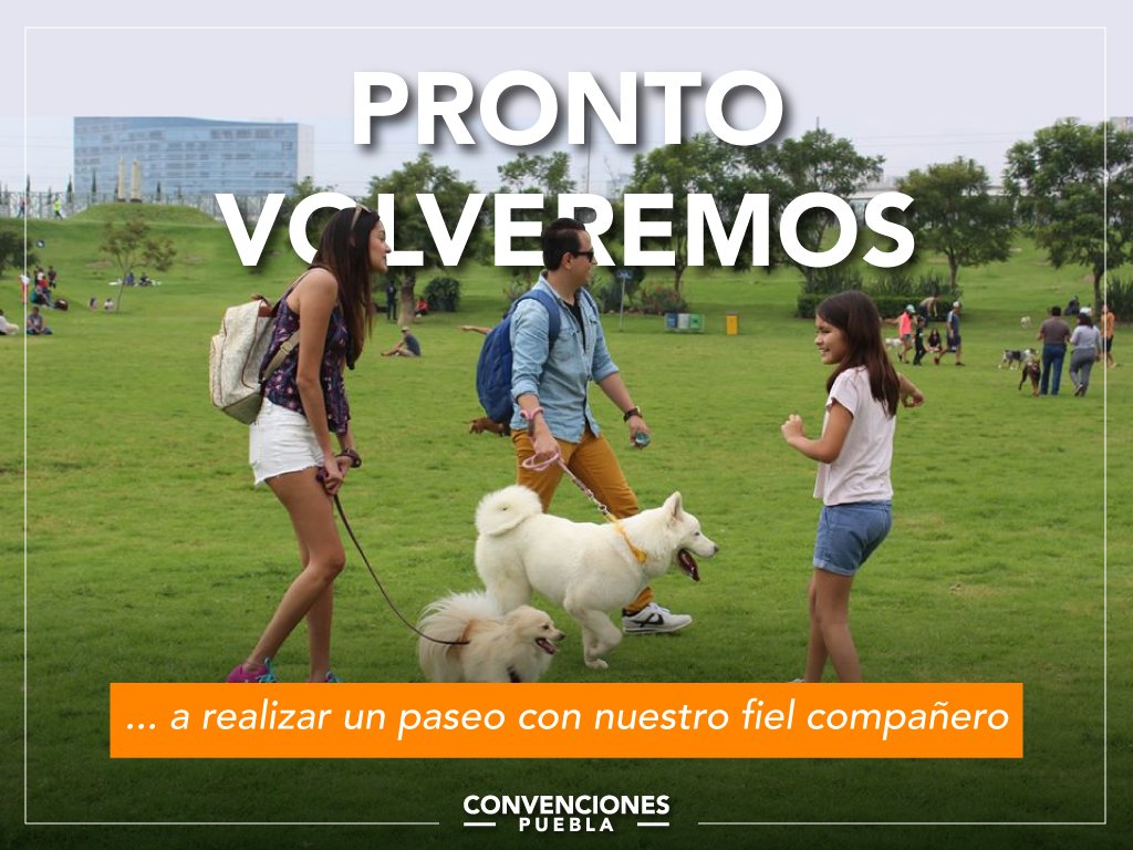 Rio Atoyac tweet media