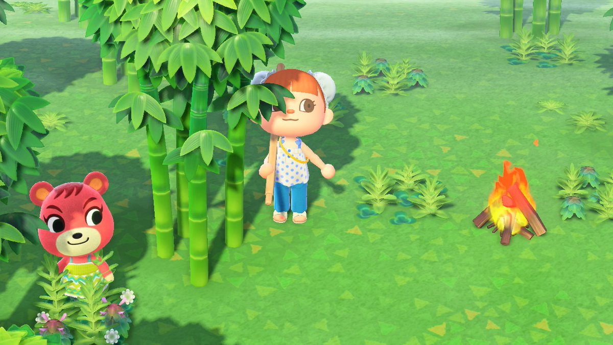 island 20: cherithe cutest lil cub but this girl would not stay still for nothing so enjoy this quality photo