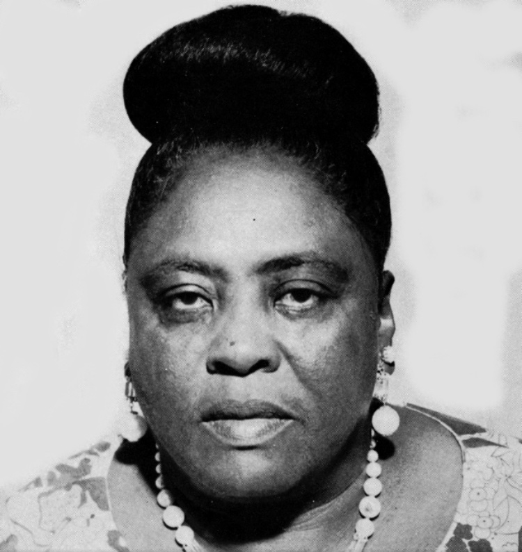 𝐟𝐚𝐧𝐧𝐢𝐞 𝐥𝐨𝐮 𝐡𝐚𝐦𝐞𝐫: an american voting and women's rights activist, community organizer, and a leader in the crm, she was extorted, threatened, harassed, shot at, and assaulted by white supremacists and police while trying to exercise her right to vote