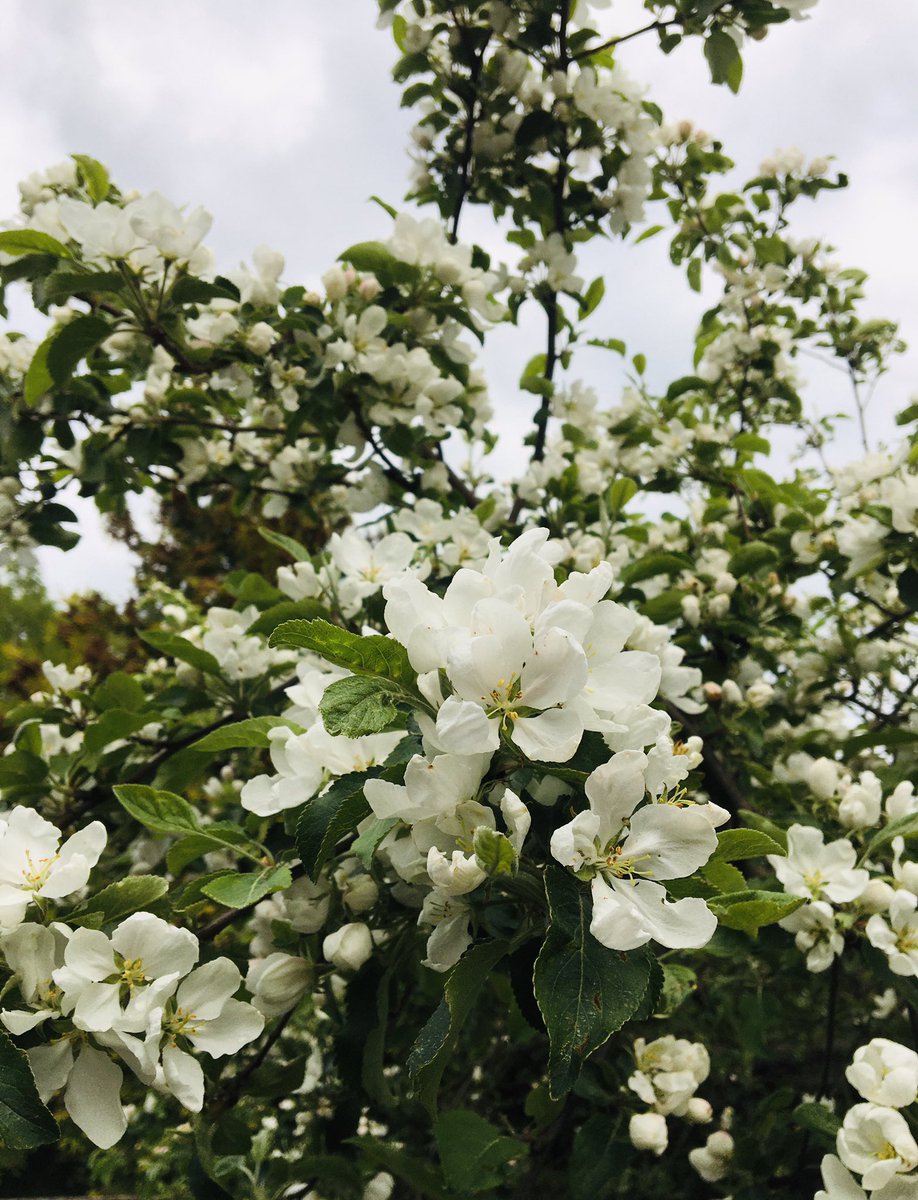 Elämäni kuvina 1/5. Ei ihmisiä eikä selityksiä. Tänään haastan mukaan <a href="/HeliHiden/">Heli Hidén</a>