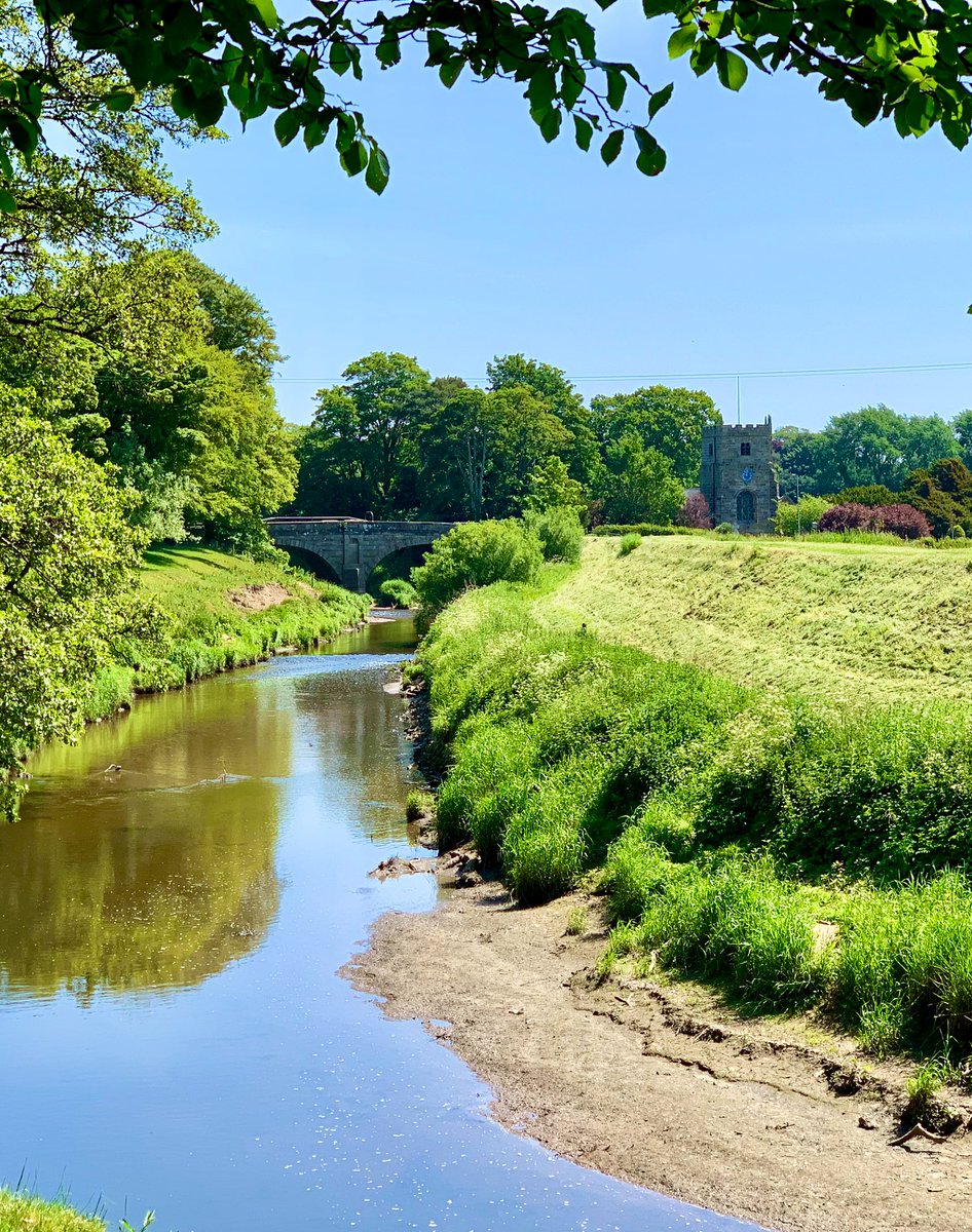 WoodspaWillow's tweet image. Day sixty five out of the #LittleCottageHouse . . . 

#Blessed - no christenings in the river today. 

#Lockdown