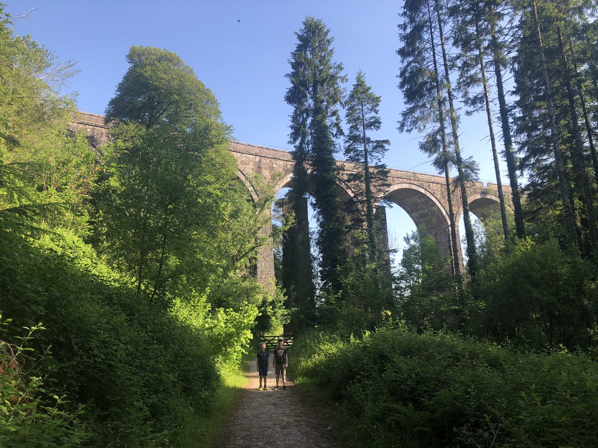 S.A.J Window Cleaners Ltd tweet media