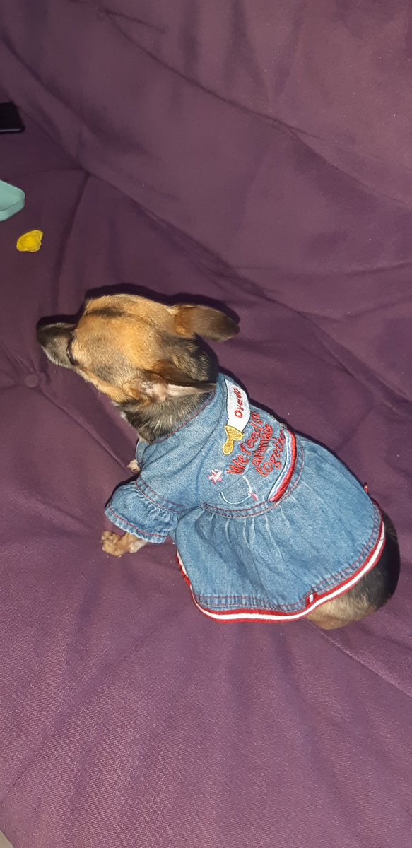 O bu eve giremez diyenler bugün elbise diktiler ❤