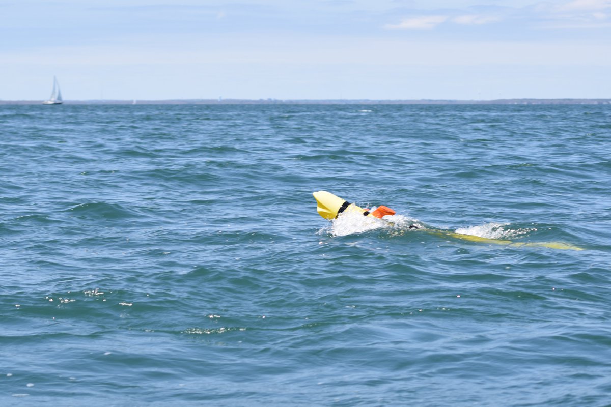 Check out this photo of a REMUS 300 UUV breaching while sea testing! Special thanks to our engineer that caught the cool action shot. Read more about the REMUS 300: hydroid.com/REMUS300 #unmanned