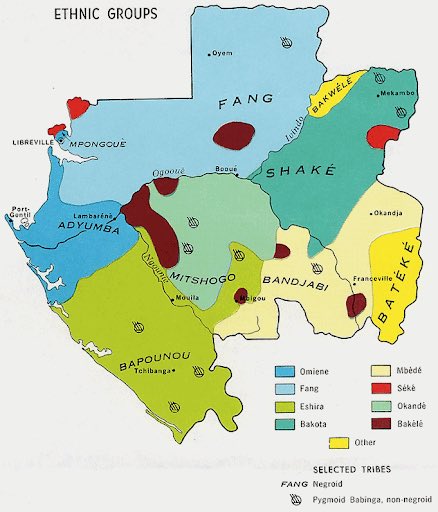 Or les langues africaines continuent d'être transmises au sein de la famille en guise de devoir de mémoire. Elles sont réparties en 3 espaces linguistiques : Fang, Tio et Kongo et les principales langues sont le fang(32%) le punu(12%) le mbede (14%) et le mpongwè(15%).
