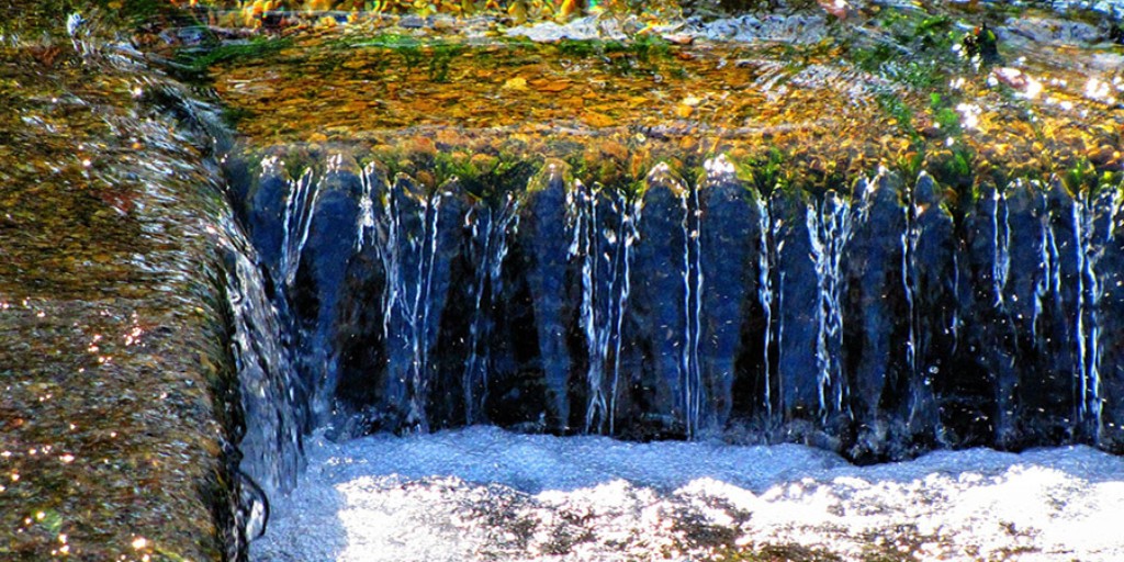 HomescapeNow's tweet photo. Uncontrolled stormwater runoff has many cumulative impacts on humans and the environment that include flooding, erosion, sediment clogs and property losses. Homescape Now has safe solutions.
https://t.co/ZWw7Hddefm
#homescapenow #stormrunoff #urbangardens #landscaping https://t.co/OTLlpEjhzK