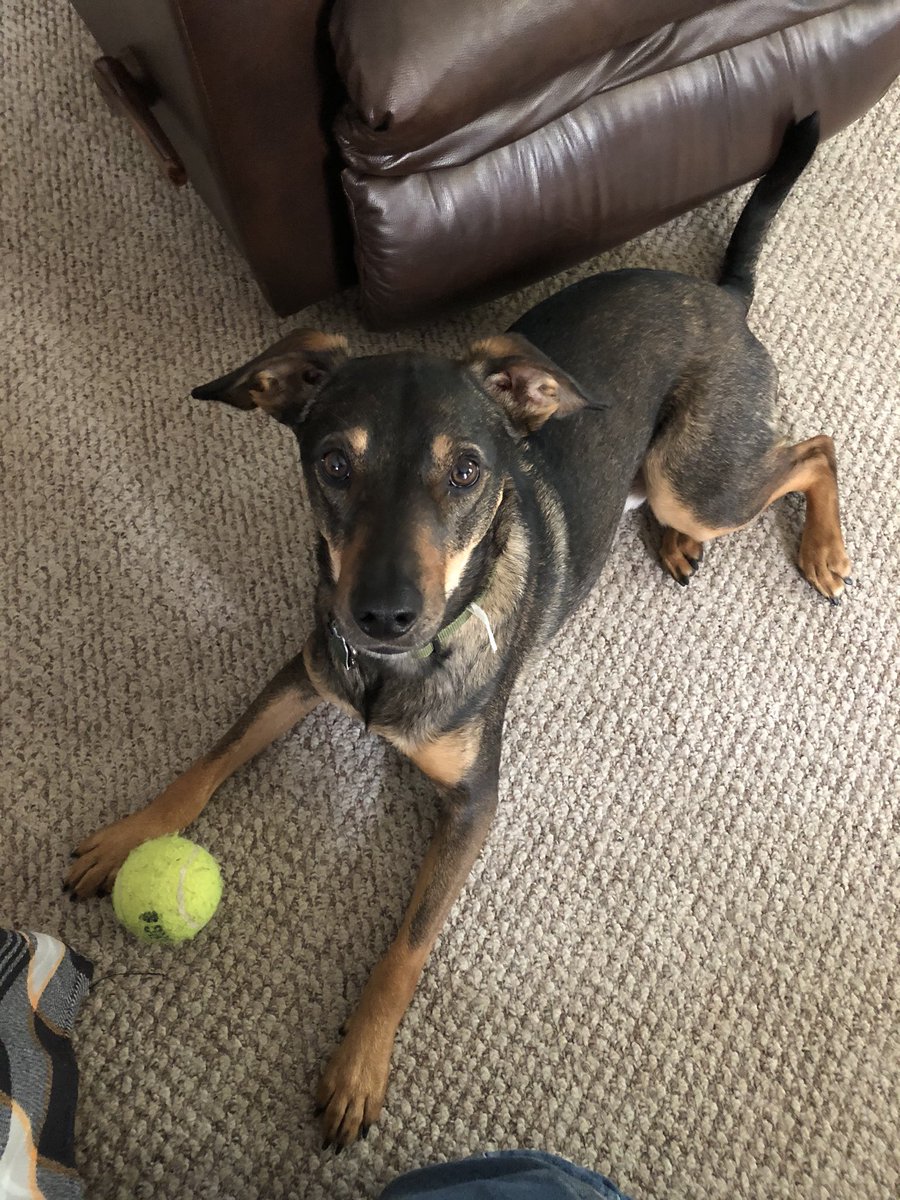 H18Dayle's tweet photo. How can you say no to this face! ❤️ https://t.co/gQ9xvfWjnp
