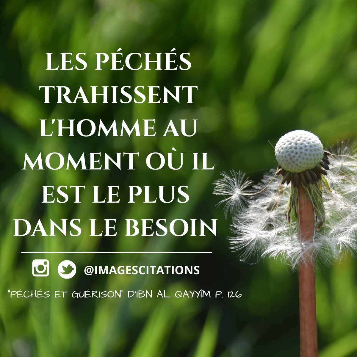 ImagesCitations's tweet photo. "Les péchés trahissent l'homme au moment où il est le plus dans le besoin car chacun a besoin de connaître ce qui lui profite et ce qui lui nuit en ce bas monde et dans l'au-delà (...)" 
👉https://t.co/D6lRV7F512
#islam #muslims https://t.co/sPAI3NCtre