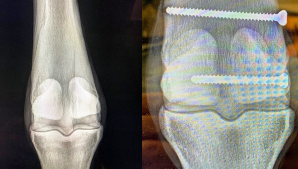 NYU_MSK Radiology tweet media