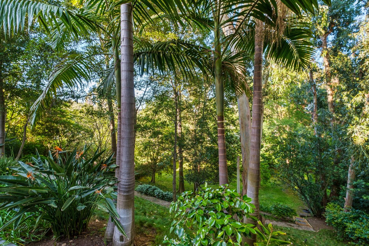 SmithandBerg tweet media