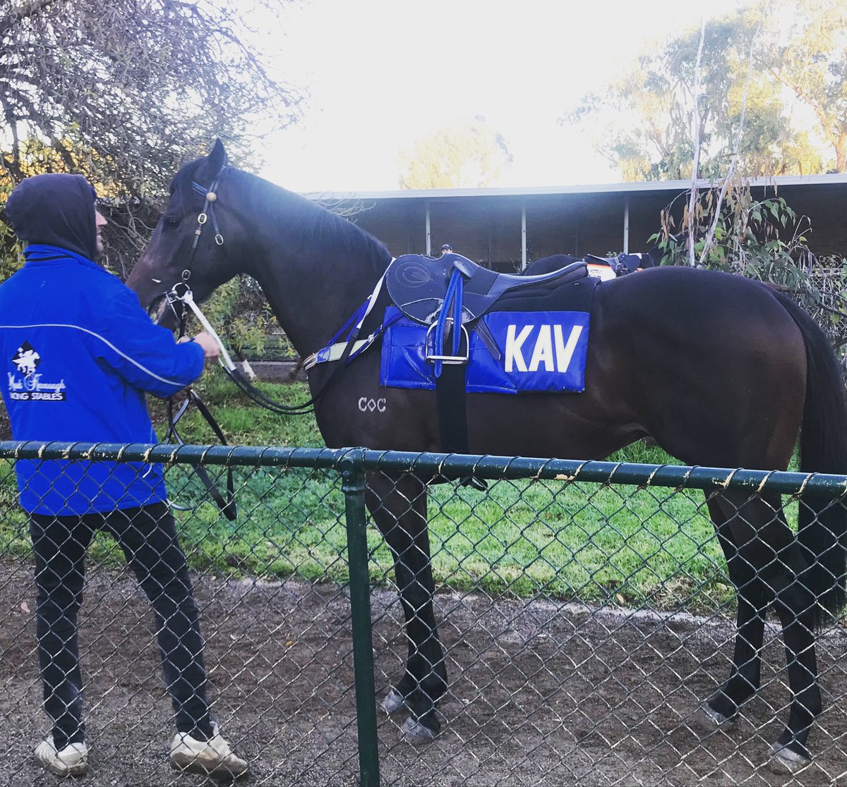 JewelRacing's tweet photo. BIXILON!! We got our name back just in time for today’s jump-out at @spendthriftpark. Next step, off to the races 🙌🏻

@Levi_MKavRacing https://t.co/oEBhJcvURF