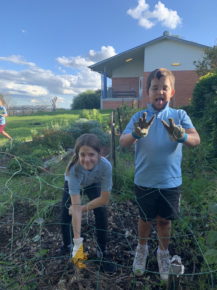 rydalmere_east's tweet photo. REPS gardeners back at work with Mrs Brown
Missing our volunteers but these students are doing a wonderful job. Thanks to you all https://t.co/hnKJfGhbMb