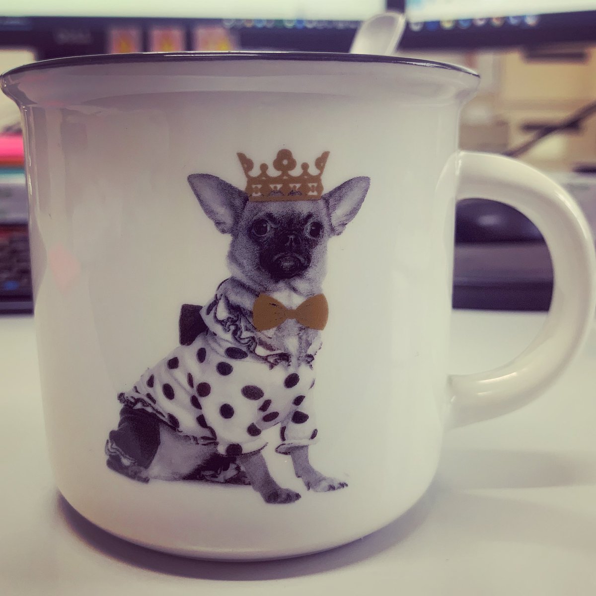 Today’s mood. #tgif #chihuahuasoftwitter