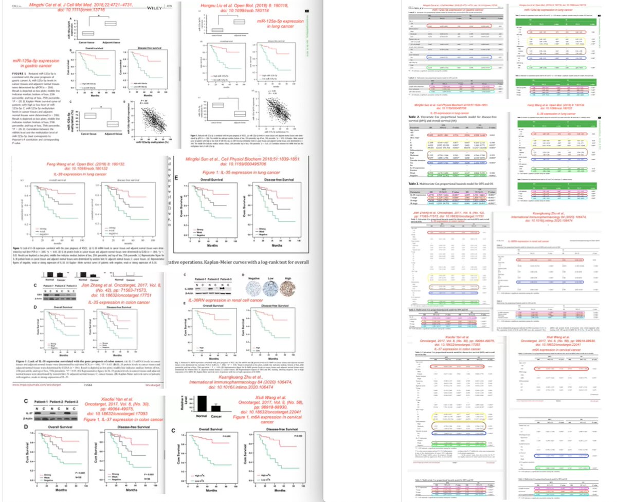 Update!This is a set of (at least) EIGHT papers, from different authors, different hospitals, different cancers, different protein expressions. But with identical Kaplan-Meier curves, tables values, line graphs. See e.g.  https://pubpeer.com/publications/39A1613F4546DA16064BA441B29A0F
