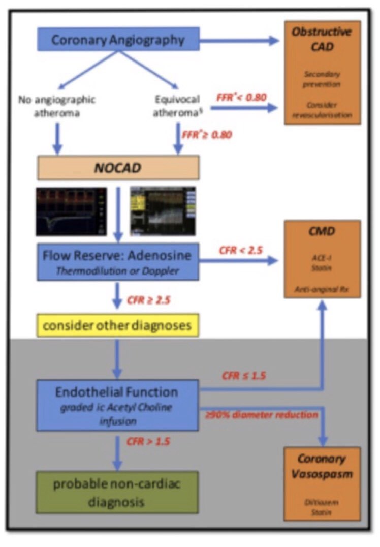 La importancia de la Evaluación fisiológica del árbol coronario... más allá del término enfermedad arterial coronaria no obstructiva. bit.ly/3erQlNh

#SocMexCardio <a href="/ACMrevista/">ACMX Revista</a> <a href="/SIAC_cardio/">SIAC</a> <a href="/Cardioinfo_it/">CardioInfo</a> <a href="/rodrigogopar/">Rodrigo Gopar</a> <a href="/mitrehit/">Alfonso Mitre</a> <a href="/LuisBaeza15/">Luis Baeza</a> <a href="/GreciaRaymundo/">Grecia Raymundo MD 🇬🇹</a> <a href="/drdargaray/">Diego Araiza MD</a>