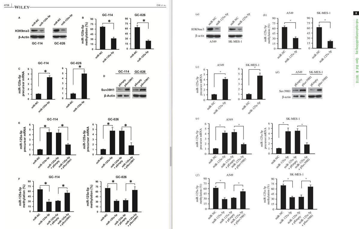 Figures 3 of both papers? Unexpectedly similar (except for different cell line names and some switched/mirrored blots).