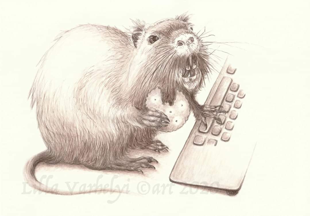 Ratte