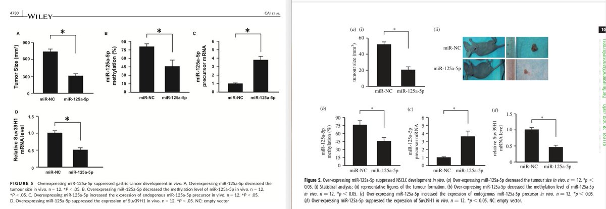 And Figures 5. Liu et al. (right) tossed in some mice pictures, but otherwise, these are remarkably similar.