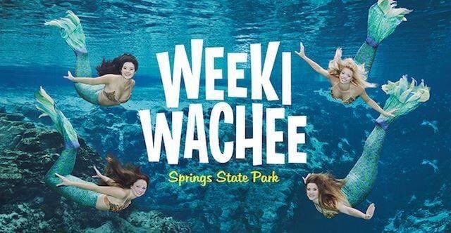 FlHumanities's tweet photo. In case you missed last night’s talk on Weeki Wachee, here is the link!! Enjoy and make sure to tune in June 3rd for our “Strange Fruits in Florida” given by Dr. Tameka Hobbs!
https://t.co/wO6FeDVev9
#flhumanities #floridatalks https://t.co/Bw2Kkc7Ii6