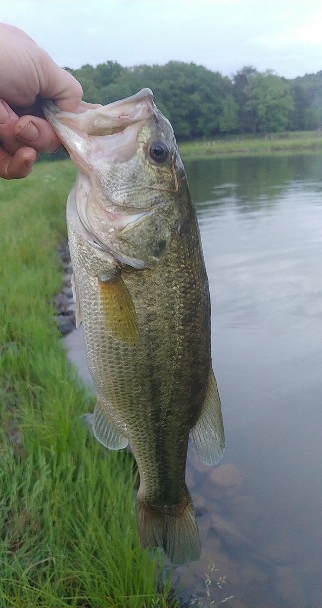 Last night's time at the lakes was a mixed bag of results 😂 #bassfishing #Kentucky