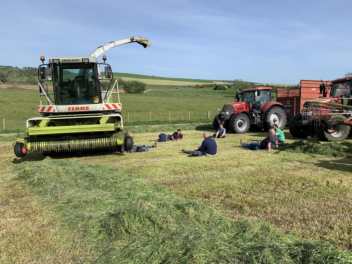 A social distanced sunny silage supper for this team today. Silage season is in finally in full swing in SW Scotland #teamdairy #silageseason2020 #sunnysuppers