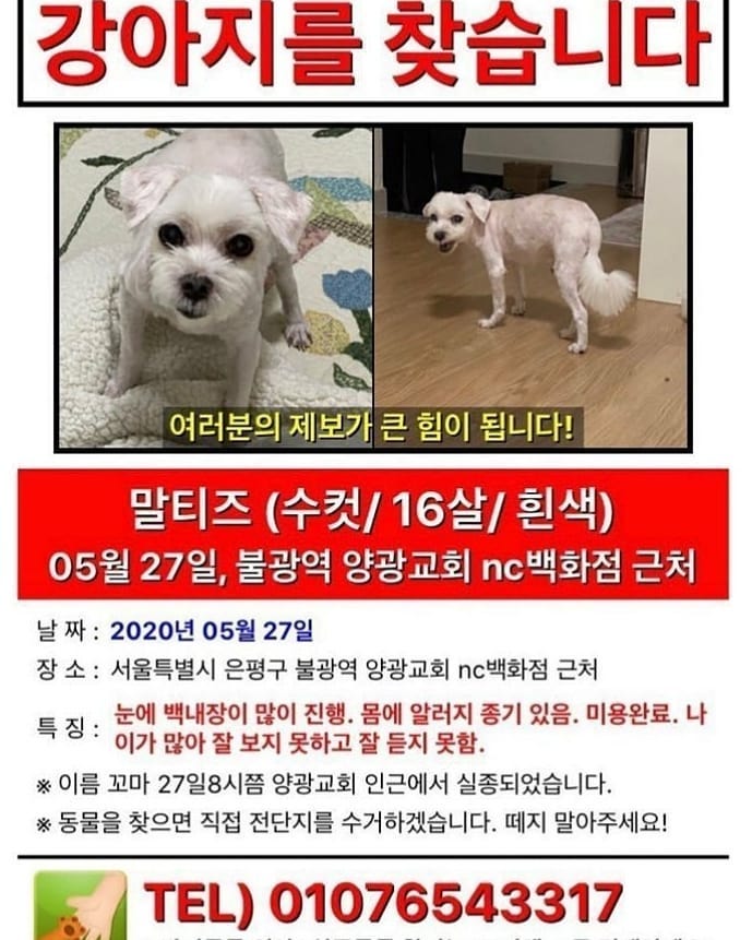 [📷|28.05.20] Penomeco e Crush atualizaram seu Instagram com um cartaz procurando o cão de um amigo próximo. Todas as informações estão na imagem.

#PENOMECO #CRUSH