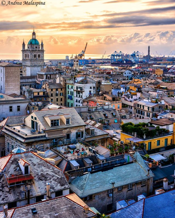 GenovaEventi's tweet photo. Genova. Scalinate e vicoli brulicanti, il mare che ti entra negli occhi all’improvviso, le note di De André, sorrisi e mani vere, e tanti colori inaspettati. ❤️‍
(Fabrizio Caramagna)

#GenovaMoreThanThis

📸 @andre_mala94 👏 https://t.co/uS1K53GLtH