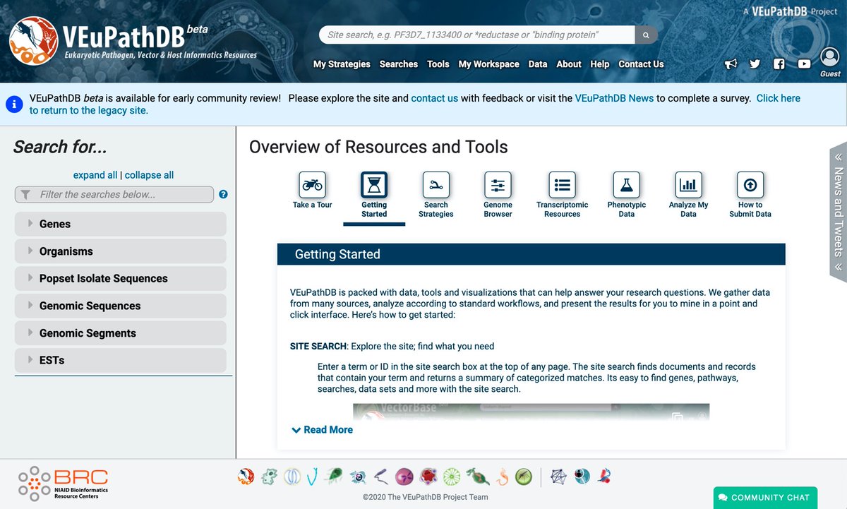 veupathdb's tweet image. We are excited to announce the release of our new beta sites! Check out your favorite #VEuPathDB resource to see our new look and feel.  @VectorBase and #EuPathDB resources are now fully merged in the same infrastructure! @NIAIDBioIT   beta.veupathdb.org