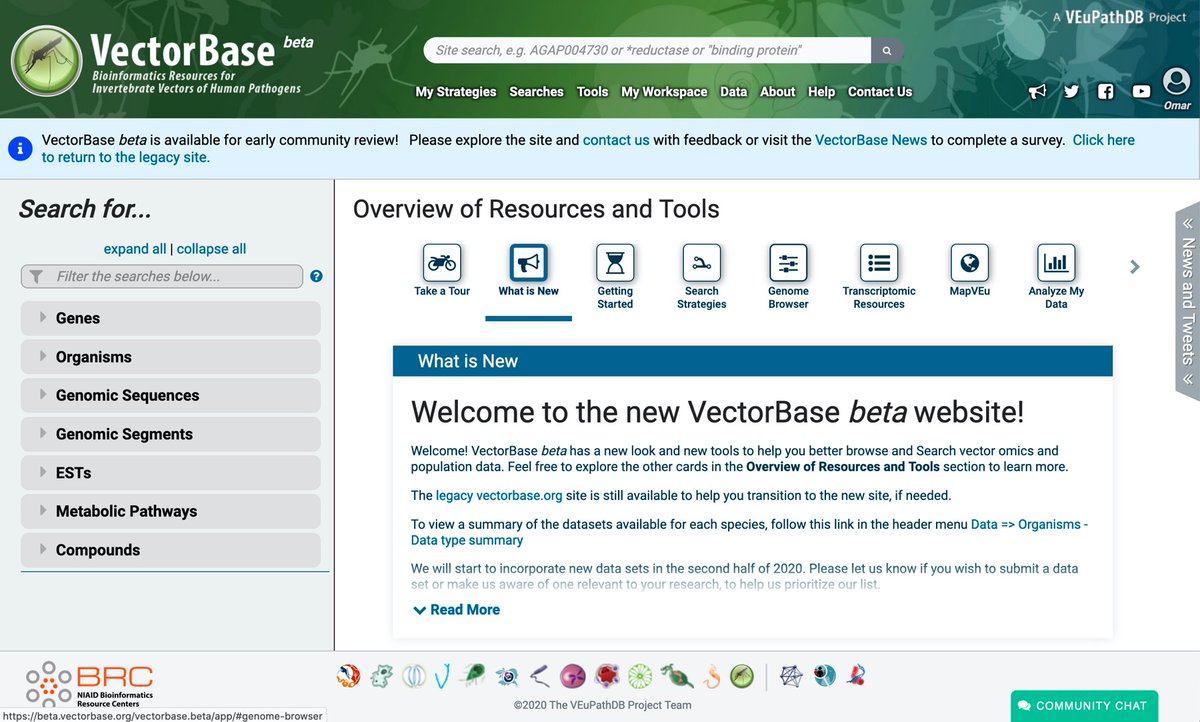 veupathdb's tweet image. We are excited to announce the release of our new beta sites! Check out your favorite #VEuPathDB resource to see our new look and feel.  @VectorBase and #EuPathDB resources are now fully merged in the same infrastructure! @NIAIDBioIT   beta.veupathdb.org