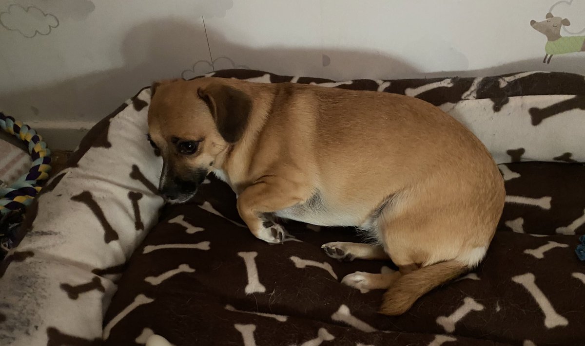 Adam Rowe tweet media