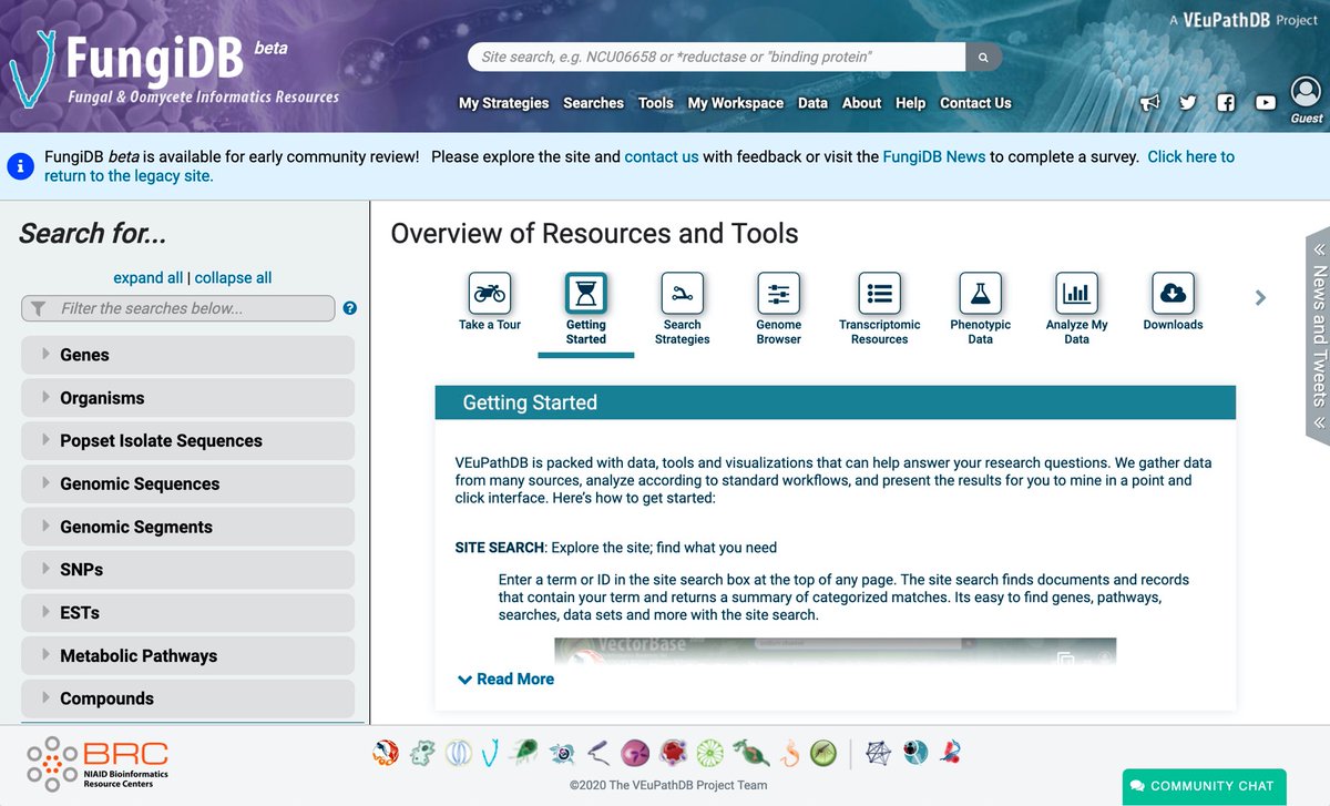 fungidb's tweet image. FungiDB has a new look and feel - check out our beta site #VEuPathDB: beta.fungidb.org