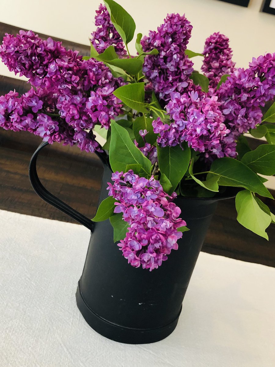 jefflapointe's tweet image. Beautiful spring flowers during a heat wave. #sprummer