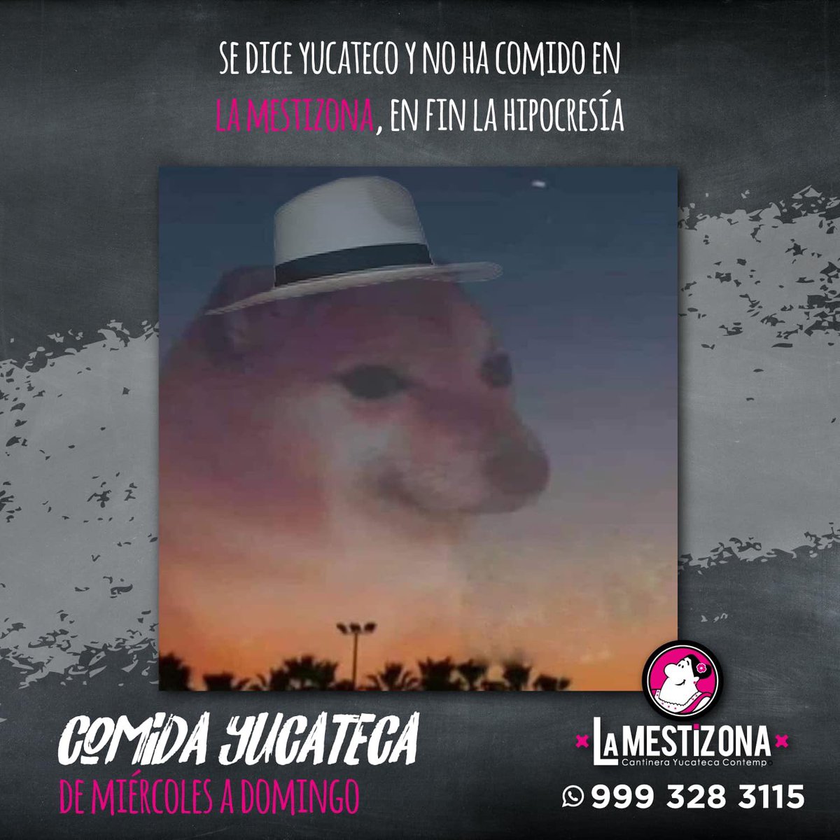 La_MestiZona's tweet photo. ¿Eres Yuca? 🤨
¿Y ya comiste de la Mestizona?🍲 https://t.co/7ojWKcx51E