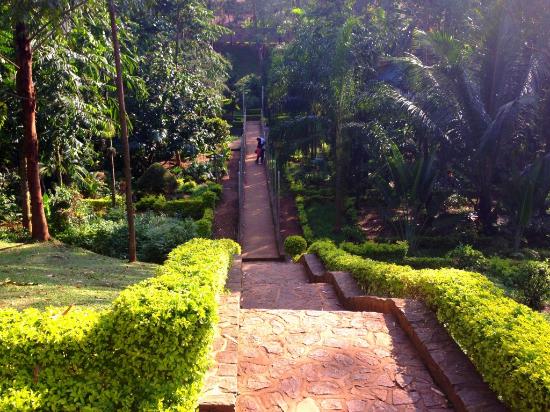 Le bois Sainte Anastasie nommé d’après la mère du président Paul Biya est un petit espace de verdure havre de paix en dehors des limites de Yaoundé Les gens viennent y mangé ou simplement se promener seul en couple ou en famille Il reçoit près de 150 visiteurs par jour