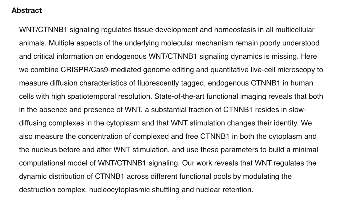 wntlab's tweet photo. We are really excited to announce our new pre-print:

"Quantitative live-cell imaging yields novel insight into endogenous WNT/CTNNB1 signaling dynamics"

Find it here, on @biorxivpreprint:
https://t.co/wFMNhzkGc1

https://t.co/8GnrBKfdU9

More details in the thread below⬇️ https://t.co/OZJVcOVkRW
