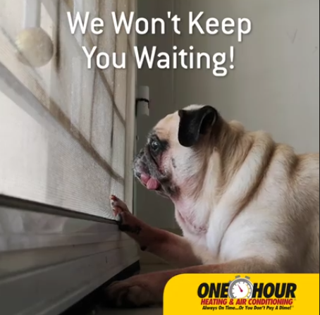 Modern Mechanical tweet media