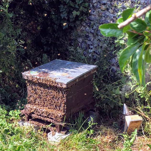 UpdownBees's tweet photo. The aftermath of my double brood box split - absolutely packed. Sustainable beekeeping at simplest - make your bees make more bees. New drawn comb, new hive - Virgin Queen will be ready in 1to2 days. #beekeeping #sustainablebeekeeping #seasidebees #broadstairs #margate https://t.co/jF3aTcJ6L4