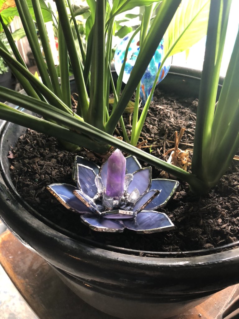tessellations's tweet photo. The prettiest decor for your plants ✨ https://t.co/ct6Vu8o3j6