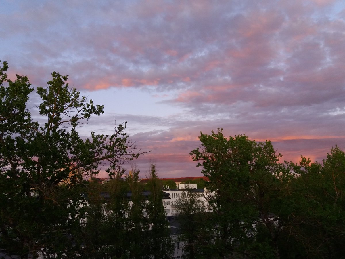 TiinaKeskimki's tweet photo. Kohta alkaa #ReformiStudio:n lähetys @YouTube Töölön kattojen yltä. Aiheina mm. @HelsinkiPoliisi #korruptio.
#runopoika
#MarkkuSilen
#EeroPekkaTuisku
#polpo
#vihapuhe
#maalittaminen https://t.co/pATRNxYW1F