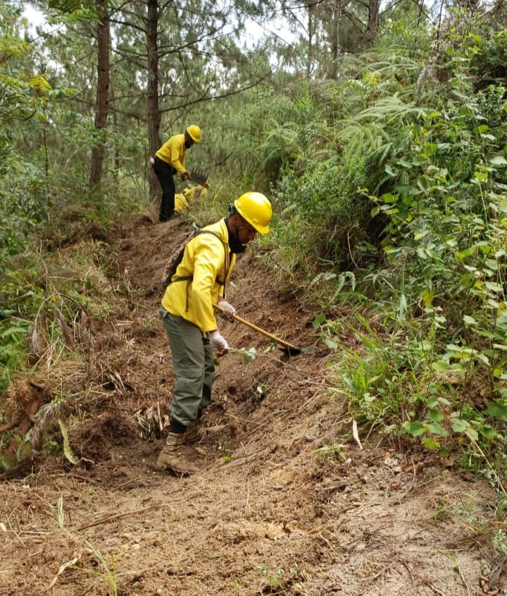 AmbienteRD's tweet photo. Nuestras Brigadas de bomberos forestales trabajan en la línea de acción y corta fuego, para extinguir un incendio registrado en la comunidad La Pelada, sección El río, Constanza. https://t.co/eCmcFbi441