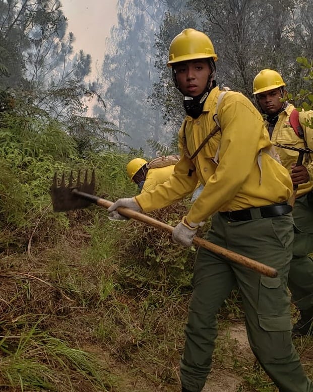 AmbienteRD's tweet photo. Nuestras Brigadas de bomberos forestales trabajan en la línea de acción y corta fuego, para extinguir un incendio registrado en la comunidad La Pelada, sección El río, Constanza. https://t.co/eCmcFbi441