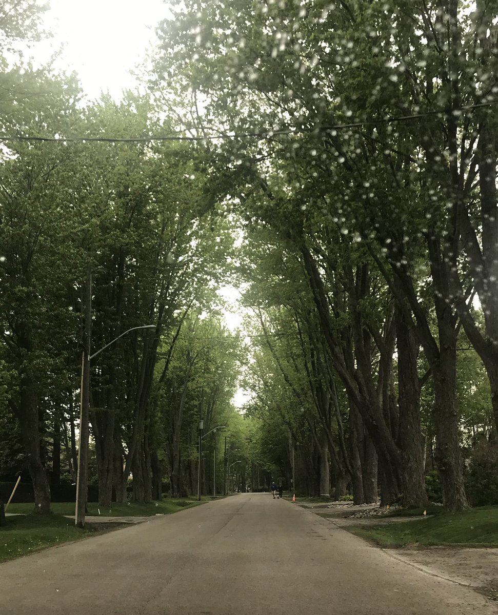 Lafiestamugs's tweet photo. Today’s drive ☺️🌳❤️ 
#Orillia #wilsonpoint #mapledrive https://t.co/GMBOTCP5Oc