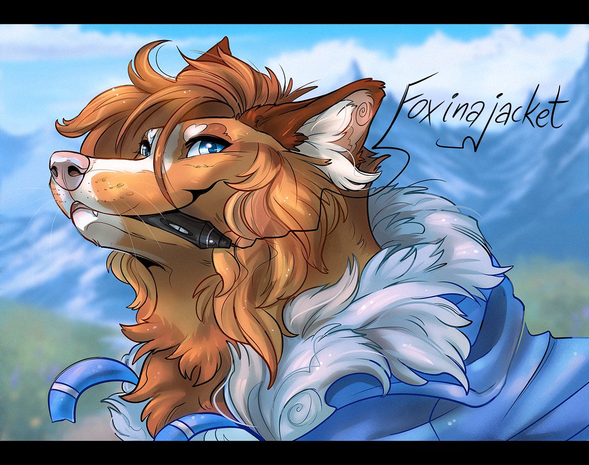 🧡 Full-time Fox 🦊 tweet media