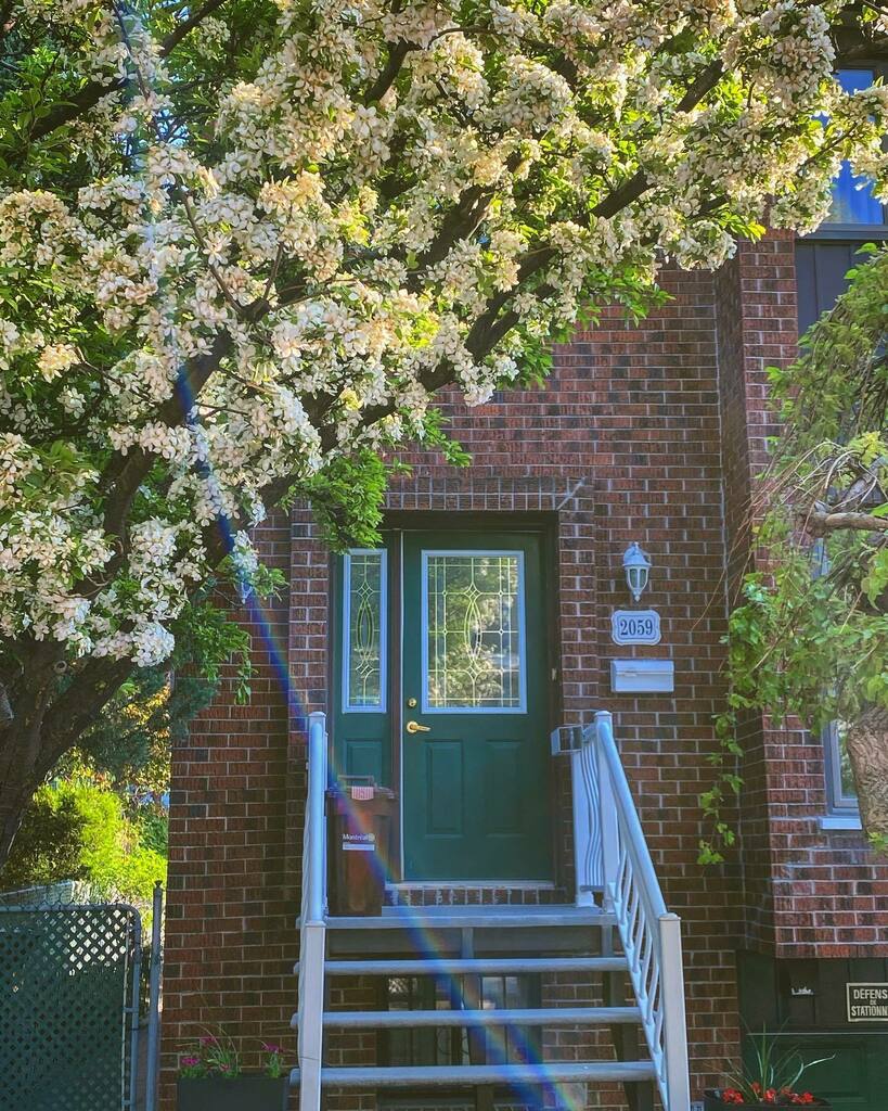 Feliz de poder salir a caminar y tomar fotos como esta (aunque me den alergias). 😅🌳🌸
.
.
.
.
.
.
.
.
.

#mtl #montreal #mtlmoments #visituslater #aplustard #foramoment #pouruninstant #montreal #montréal #montrealcanada #montrealcity #montreallife #m… instagr.am/p/CAviIQNpEok/