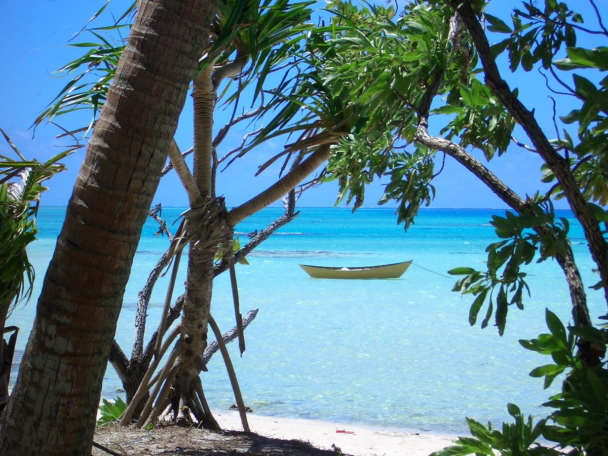 A bit of a different seascape than what we're used to seeing in Lunenburg! 
•
•
•
#DoryShop #Woodenboat #Boatbuilding #Traditional #dories #dory #traditionalboat #palmerston